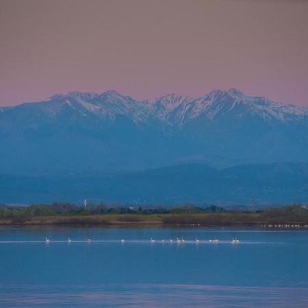 "Chill" Magnifique Vue Sur La Mer Et Le Port Au Coeur De La Ville En Premiere Ligne Canet-en-Roussillon Exterior photo